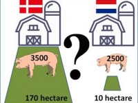 DA-NL comparison